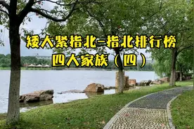 四大家族（四）【指北排行榜26】晓松奇谈不能说的，都在这里！视频封面