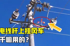 边转还能边反光，电线杆上为什么要装一个小风车？小设计有大妙用视频封面