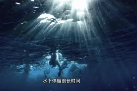 地球上最大动物，蓝鲸的心跳首次被记录到视频封面