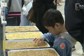 世界粮食日：中储粮杭州直属库面向公众展现“大国粮仓”视频封面