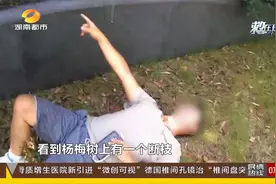 只因馋杨梅！外卖小哥从三米高树上跌落，躺地无法移动视频封面