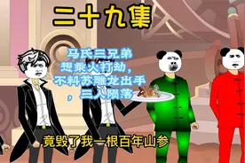 二十九集 马氏三兄弟趁火打劫，苏雕龙出手，三人陨落视频封面