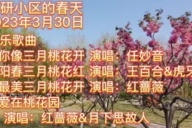 科研春天2023年3月30日你像三月桃花开任妙音三月桃花红情歌对唱视频封面