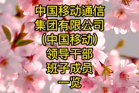 中国移动通信集团有限公司（中国移动）领导干部班子成员一览视频封面