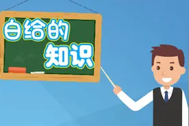 女生胸的大小用水果来表示视频封面