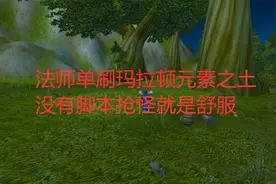 魔兽世界怀旧服法师单刷玛拉顿元素之土，没有脚本抢怪就是舒服