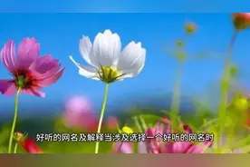 好听的网名 (1)视频封面