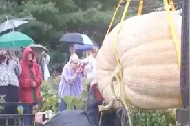 “南瓜”为什么很长一段时间叫“倭瓜”，这跟日本人有什么关系？