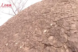 考古新发现！山东诸城发现全国罕见恐龙遗迹化石群视频封面