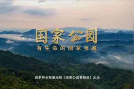 我们的共同家园｜国家公园，有生命的“国家宝藏”视频封面