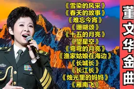 12首【董文华】经典老歌联唱，70年代最好听的怀旧老歌，原唱金曲