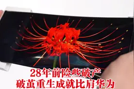 苹果iphone13用上中国屏？又一民族企业京东方崛起，打破三星垄断视频封面