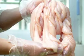 懒人版猪肠新做法，不用炒，不用卤，鲜嫩爽脆，好吃的停不下来