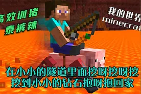 我的世界：在小小的隧道里面挖呀挖呀挖，高效训猪法简直泰裤辣！