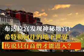 布达拉宫发现神秘地宫，地下八层通往何处，真的存在“宝藏”吗？视频封面