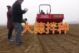 大蒜拌种剂新配方，不仅治病防虫花钱少，还能提高产量视频封面