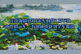 崖山海战20万宋军对战1万不熟水性的元军，为何从小捷到全军覆没视频封面