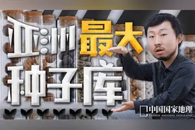 如果有一天世界末日了，请记得来这里唤醒它们