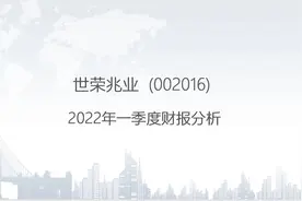 002016 世荣兆业-2022年一季度财报分析.pptx视频封面