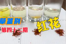百草鉴别红花中药材鉴别  你买的是真材实料的红花吗？视频封面