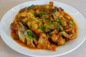 广式红烧鲶鱼做法，配方和做法全分享，厨房小白也能学会！