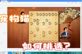 听胡永红讲棋，三个月成为象棋特级大师