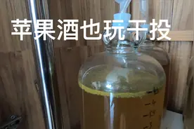 苹果酒干投啤酒花 效果出奇的好 聊聊苹果汁和酵母的选择