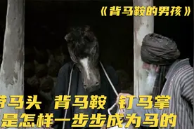 一天一块钱，穷人在富人的驯养下，逐渐成了一匹马，伊朗高分电影视频封面