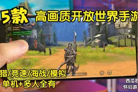 5款高画质开放世界手游，新出手游推荐，手游解说，多人射击游戏视频封面