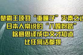 西楚霸王项羽“重瞳子”灭秦之迷！日本人常说的八嘎呀路啥意思视频封面