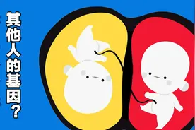人体能有多奇妙？说不定你的身体内，其实有着两个人的基因……视频封面