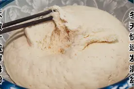 冬天发面真简单，不放一粒酵母粉，快速发满盆，蒸馒头花卷真香视频封面