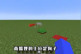 我的世界：大鱼吃小鱼，小鱼吃虾米，那MC的食物链又..