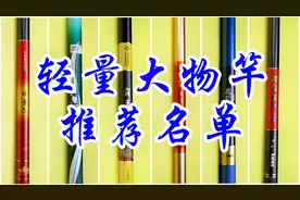 耗时两个月，弄断了几千元的鱼竿，我整理出了这份“推荐名单”视频封面