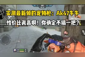 实测最新宠物枪AK47牛牛！性价比真高啊！