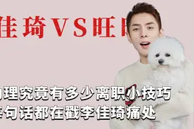 李佳琦女助理有多搞笑？随时分享离职技巧，每句话都在戳老李痛处视频封面