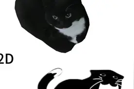 不同版本臭猫喜欢哪一款家人们#原创视频  #香蕉猫  #臭猫  #猫咪视频封面