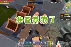 迷你世界双人生存68：拿到神圣树种子，获得很多材料，准备养狼