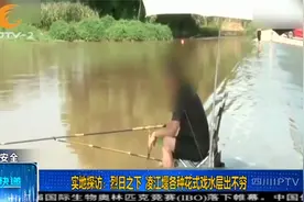 不安全！眉山凌江堰成网红打卡地，戏水钓鱼游泳看得人心慌慌！视频封面