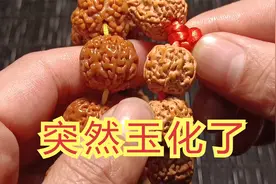 偶尔试了一下金刚菩提子玉化真的很快