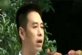 这么巧？“下线车”一年两次撞同一棵树？树表示：有隐情不背锅视频封面
