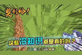 真假冷知识：躲在两格高的草丛里，僵尸就发现不了你了？视频封面