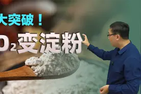 中国科学家用二氧化碳人工合成淀粉！原理是什么?能得诺贝尔奖吗?视频封面