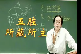 五脏所藏所主辩证