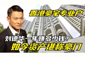 年收入上亿，刘德华一个代言多少钱？如今财富规模堪比豪门视频封面