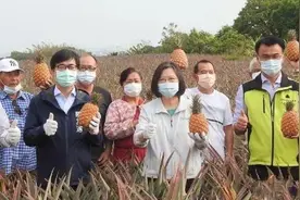 大陆出手后，岛内已经有人急得跳脚，蔡英文再甩锅视频封面