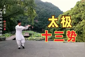 武当陈师行演练高清完整版太极十三势，快来一饱眼福视频封面
