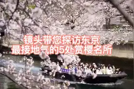 镜头带您探访东京最接地气的5处赏樱名所视频封面