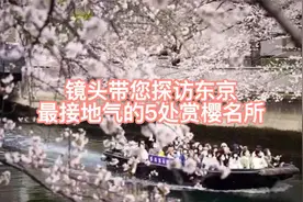 镜头带您探访东京最接地气的5处赏樱名所视频封面