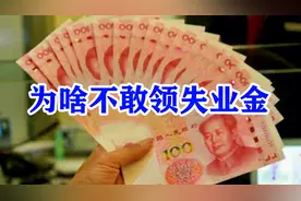 明明失业艰难度日，为何不敢领失业金？其实完全可以放心大胆去领视频封面